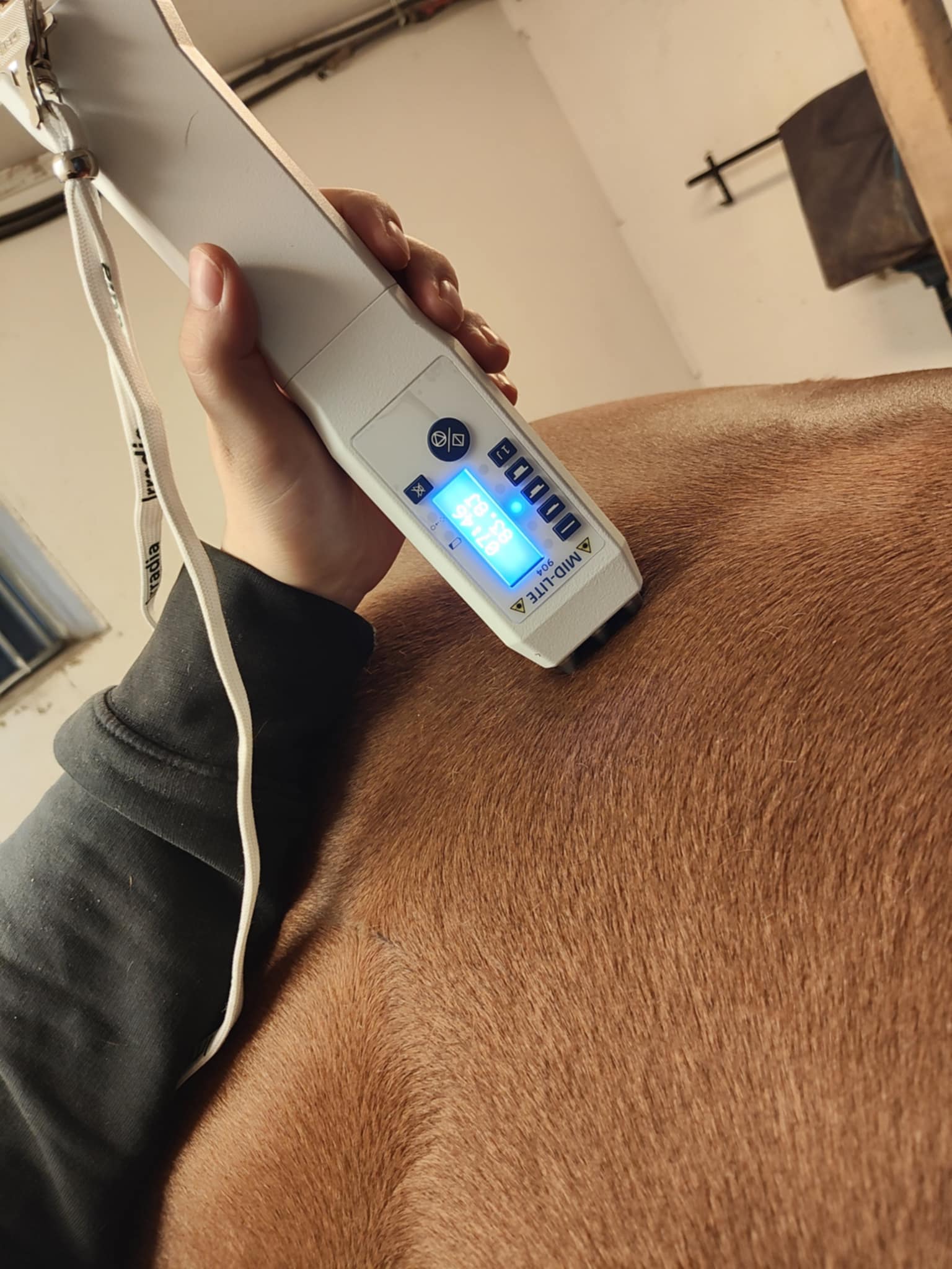 Medicinsk Laser - Effektiv behandling för att påskynda läkning och minska inflammation.