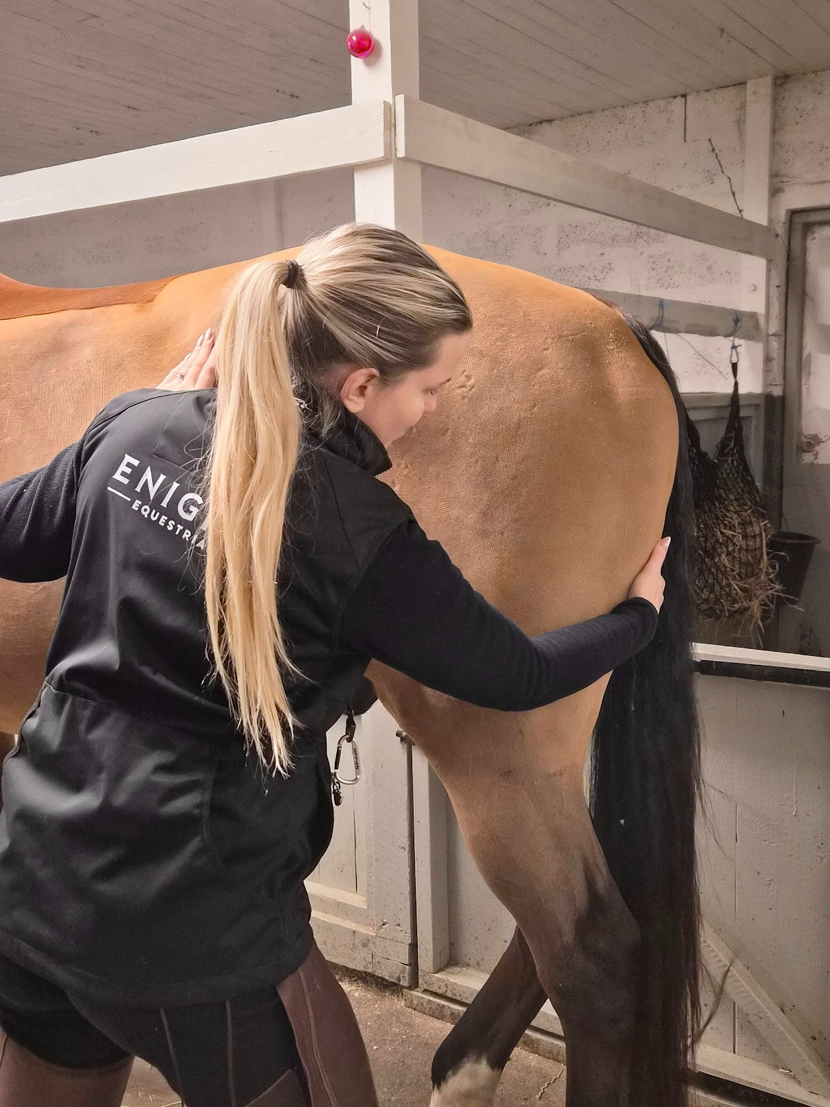 Terapeutisk Hästbehandling - Behandlingen kombinerar equiterapeutiska tekniker som massage, akupressur och mobilisering för att förbättra rörlighet, minska smärta och förebygga skador.