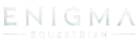 Enigma Logo